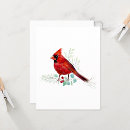 Search for red cardinal bird cards Watercolor
