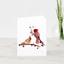 Search for cardinal vertical note cards Wildlife