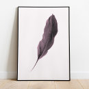 Search for feathered posters Pink