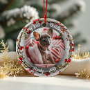 Search for wreath christmas tree decorations Winter