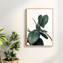 Search for tropical plants posters Green