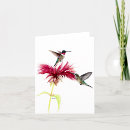 Search for hummingbird note cards Wildlife
