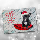 Search for boston terrier christmas cards Funny