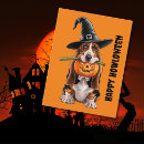 Search for pumpkin image postcards Cute halloween
