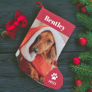Search for pet photo christmas stockings Kids