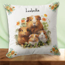 Search for guinea pig cushions Cute