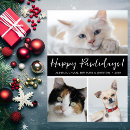 Search for dog cat christmas cards Funny
