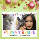 Search for furries cards Colourful