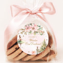 Search for the green fairy stickers Sugar plum fairy