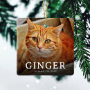 Search for cat pet memorial ornaments Forever in our hearts