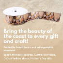 Search for seashell ribbon Nature