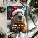 Search for hilarious christmas cards Xmas