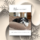 Search for naughty christmas cards Pet photo