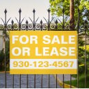 Search for leasing Commercial real estate