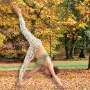 Search for pumpkin all over print clothing Fall