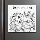 Search for salamanders magnets Newt