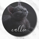 Search for cat memorial stickers Dog