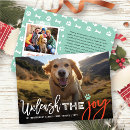 Search for pawed christmas cards Dogs