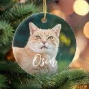 Search for pet name christmas tree decorations Cute
