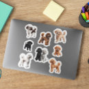 Search for miniature stickers Poodle