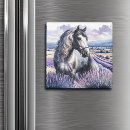 Search for pretty magnets Meadow
