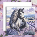 Search for pretty horse cards Horses