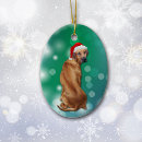Search for rhodesian ridgeback christmas tree decorations Pet