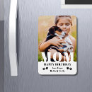 Search for dog magnets Modern