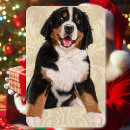 Search for christmas under magnets Under ten dollars