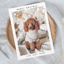 Search for fur baby cards Pets