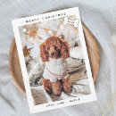 Search for fur baby cards Pets