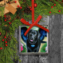 Search for black labrador memorial gifts Rainbow bridge