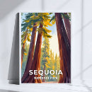 Search for sequoia posters Travel