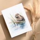 Search for realist postcards Wildlife