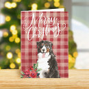 Search for berners cards Cute