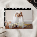 Search for pet halloween cards Funny