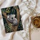 Search for australian koala postcards Tree