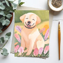 Search for labradors postcards Cute