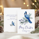 Search for blue jay cards Watercolor