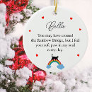 Search for rainbow cat christmas tree decorations Pet