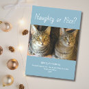 Search for cute cat christmas cards Naughty or nice