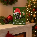 Search for angry cat christmas cards Humour