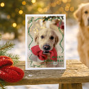 Search for animal lover christmas cards Modern