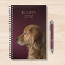 Search for golden retriever office supplies Puppy