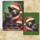 Search for bear christmas cards Cat