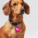 Search for dachshund dog tags Doxie