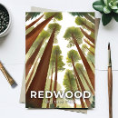 Search for watercolor forest postcards National