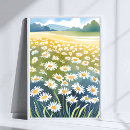 Search for flower fields posters Daisies