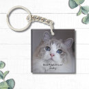 Search for ragdoll key rings Cute
