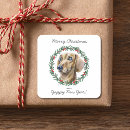 Search for christmas dachshund stickers Animal